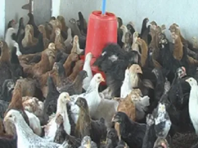 Buldana Urban Co Operative Credit Society