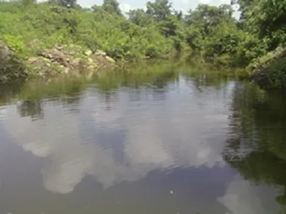 Buldana Urban Co Operative Credit Society