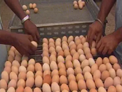 Buldana Urban Co Operative Credit Society