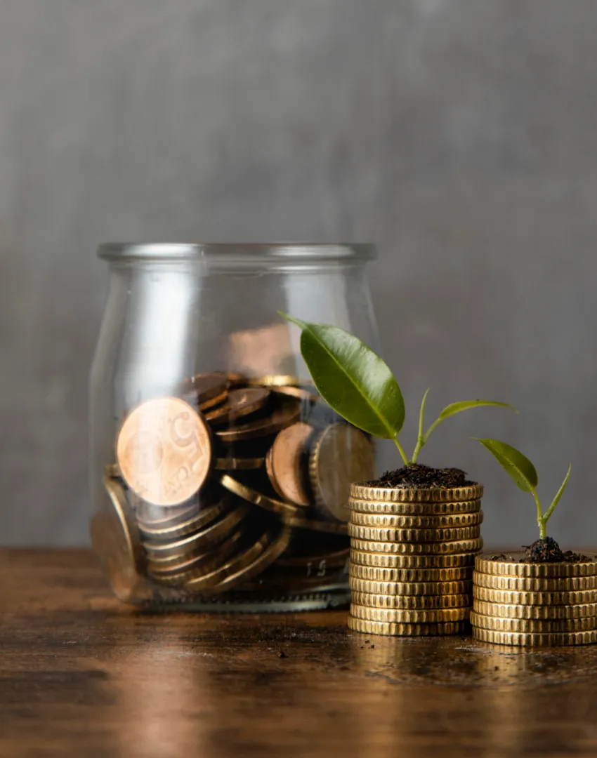 Buldana Urban Gold Loan Service